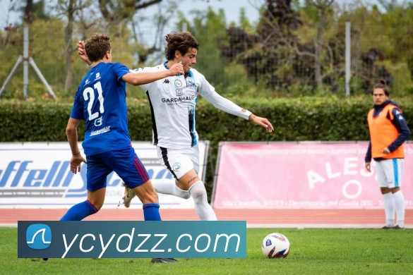 App Interface Preview