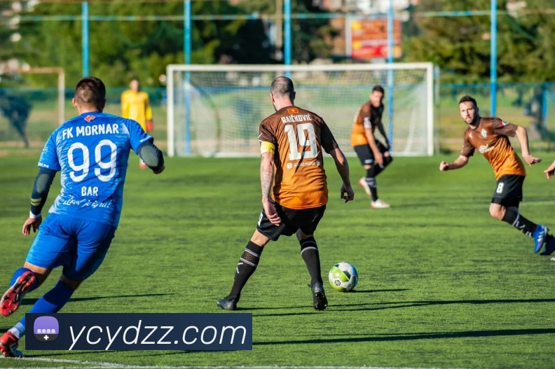 6686体育APP 封面图